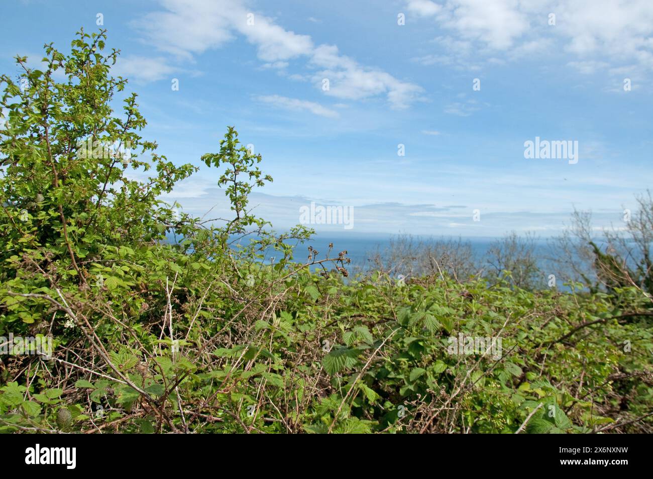 Blick auf Whiting Bay, Isle of Arran, Schottland, Großbritannien. Die silberblauen Töne des Meeres und des Himmels verschmelzen ineinander. Stockfoto