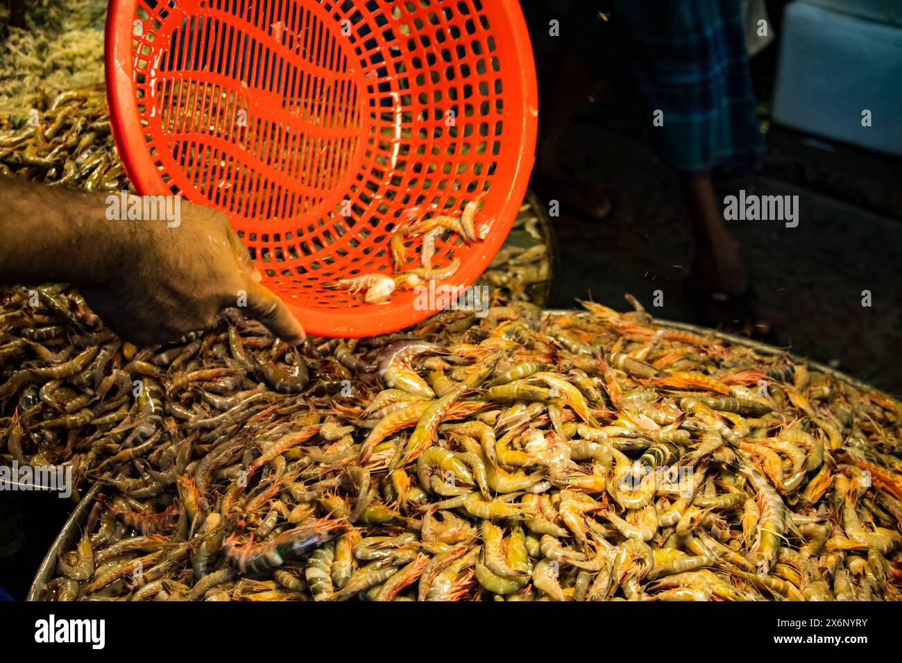 In Jatrabari, Dhaka, Bangladesch, sind die Händler mit Aktivitäten beschäftigt und verkaufen am frühen Morgen Fisch auf dem geschäftigen Fischgroßmarkt. Dieses Bild war Cap Stockfoto