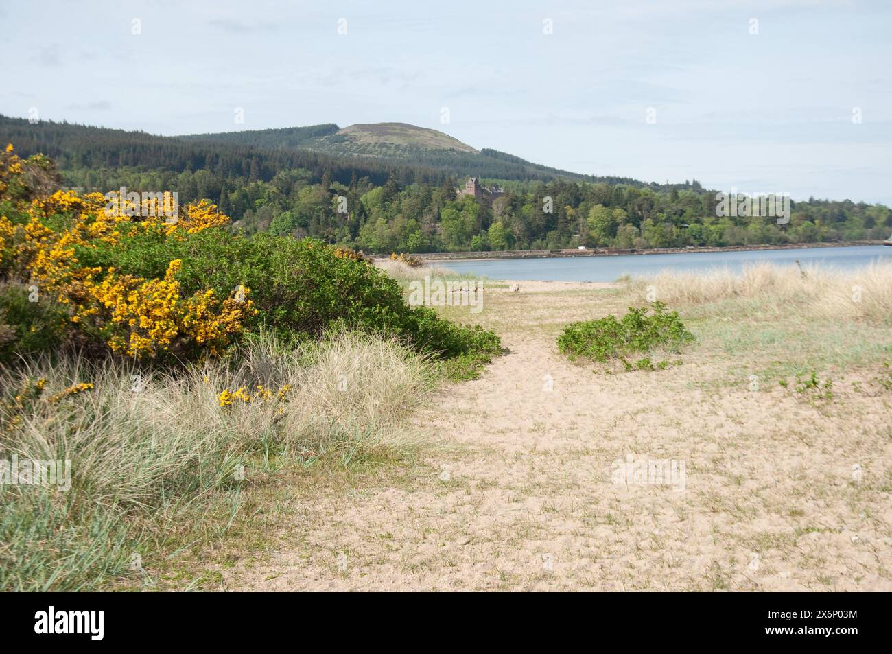 Ziegenfall und wunderschöne Landschaft, Nr. Brodick, Isle of Arran, Schottland, Großbritannien Stockfoto