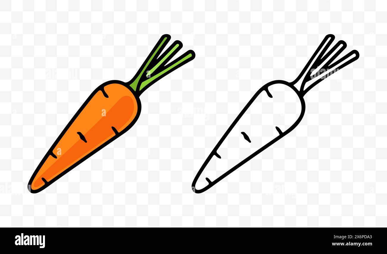 Karotten, Gemüse, Wurzelgemüse oder Wurzelgemüse, grafisches Design. Wurzel und Pflanze, Obst, Essen und Mehl, Ernährung, Vektordesign und Illustration Stock Vektor