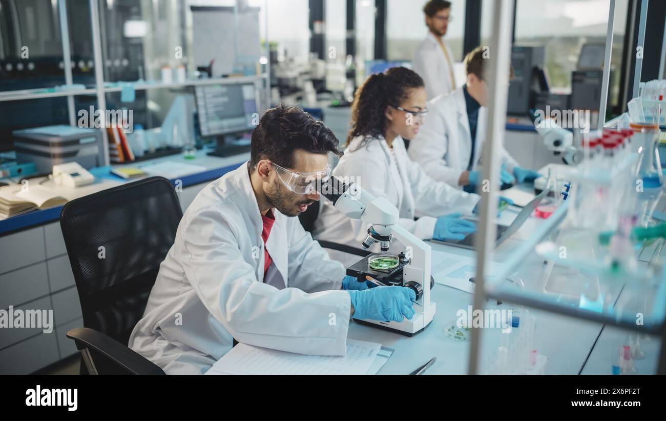 Medical Science Laboratory: Reihe von verschiedenen Team von Multi-ethnischen jungen Wissenschaftlern, die unter Mikroskop suchen, Chemikalien analysieren, reden, Probleme lösen. Biotechnologiespezialisten, die im Advanced Lab arbeiten Stockfoto