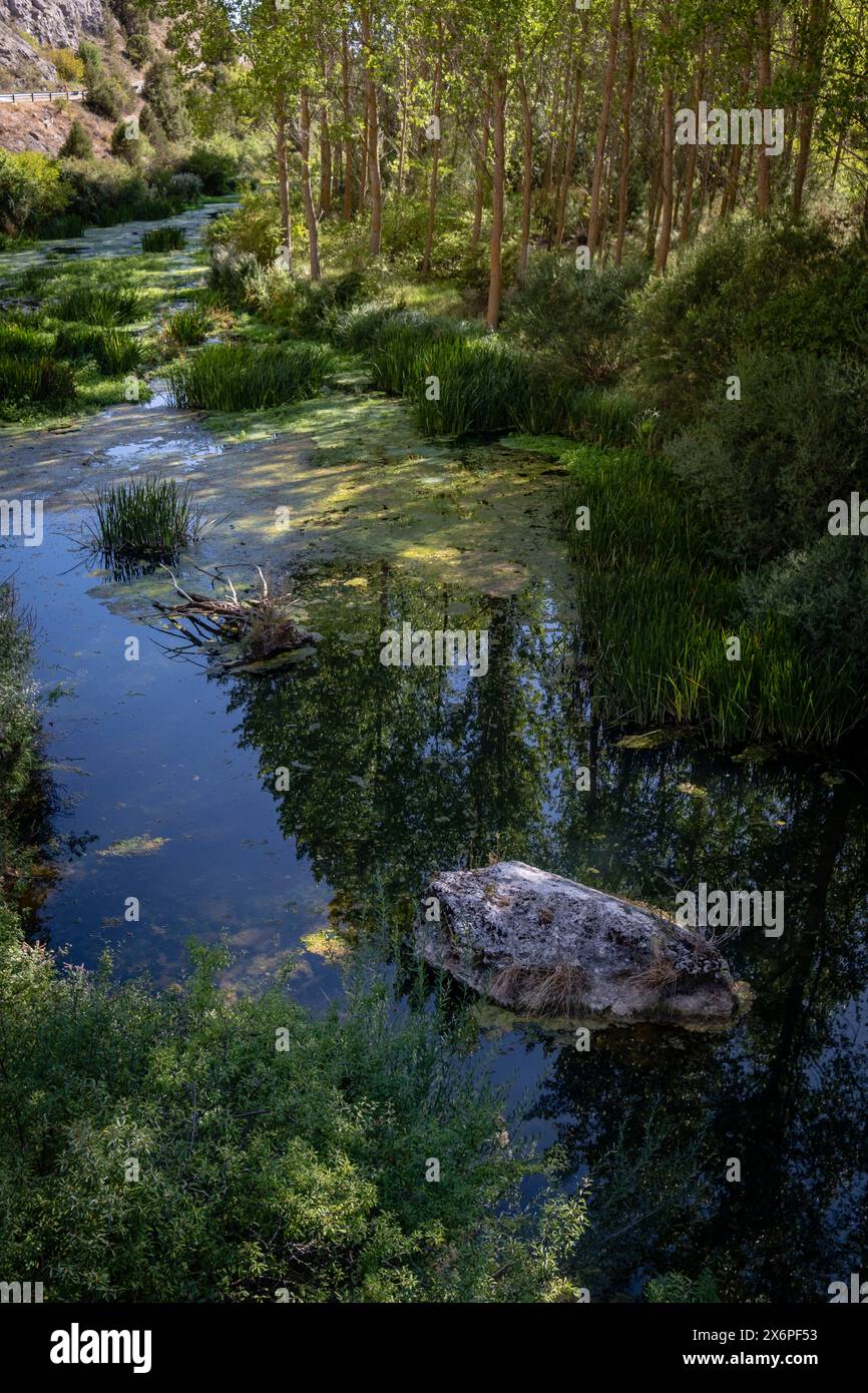 Geburt des Flusses Ucero, Parque Natural del Cañón del Río Lobos, Soria, Comunidad Autónoma de Castilla, Spanien, Europa. Stockfoto