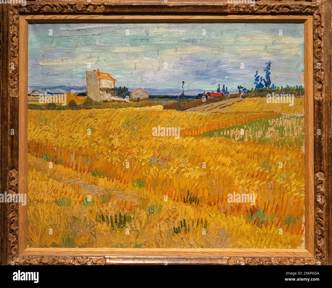 Wheattfield, Vincent Van Gogh, 1888, Öl auf Leinwand, Amsterdam, Niederlande. Stockfoto