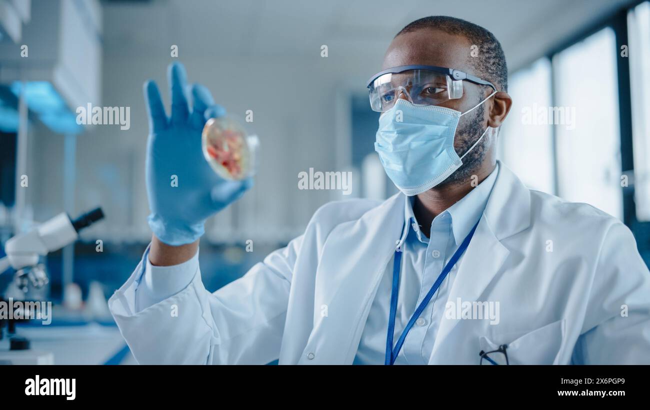 Afroamerikanischer männlicher Wissenschaftler mit Gesichtsmaske und Brille, der Petrischale mit genetisch veränderten Probenchemikalien betrachtet. Mikrobiologe, der in modernen Laboratorien mit technologischer Ausrüstung arbeitet Stockfoto