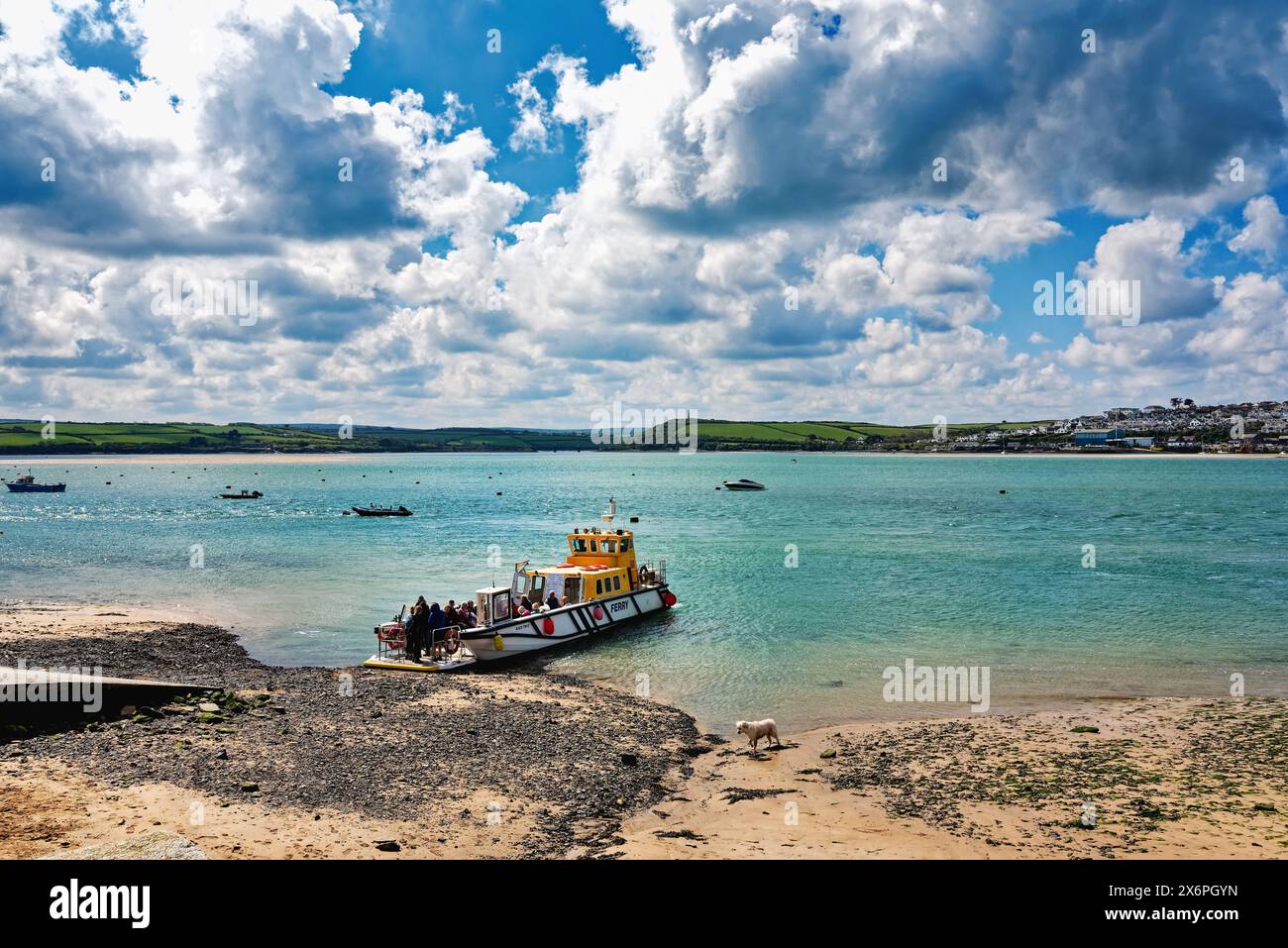 Der Blick über die Flussmündung des Flusses Camel von Rock mit der Passagierfähre, die an einem sonnigen Frühlingstag aus Padstow ankommt, North Cornwall England Großbritannien Stockfoto