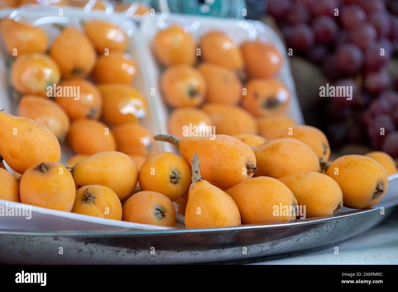 Eine übereinander gestapelte Eriobotrya japonica, die seine Früchte wie goldene Eier hält, genannt Loquat Stockfoto