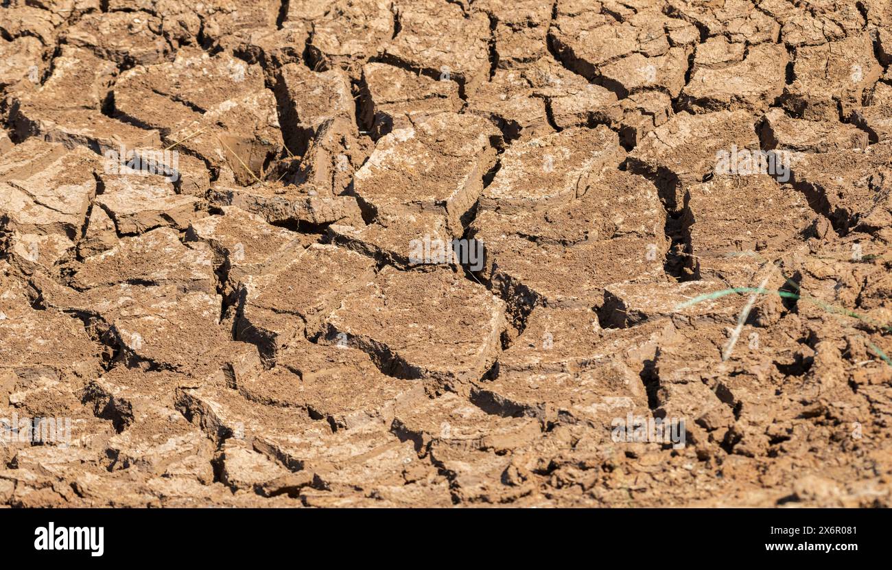 Zerrissene Erde, vertrockneter Schlamm, trockene Oberfläche. Stockfoto