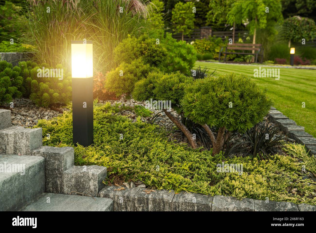 Gartenszene mit LED-Leuchtenpfosten im Freien und Baum im Hintergrund. Stockfoto