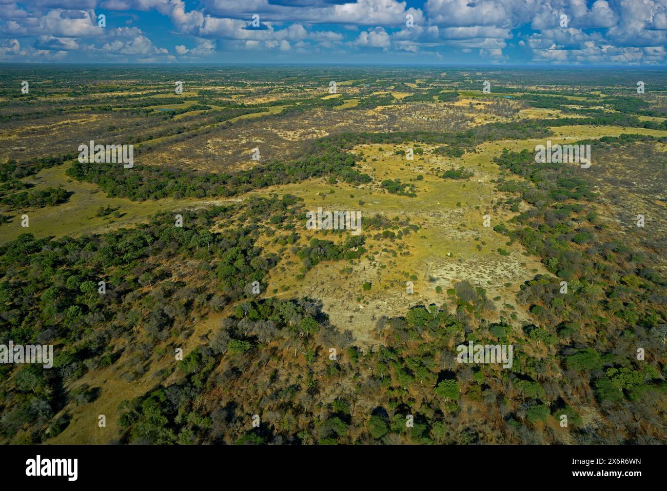 Afrika Luftlandschaft, grüner Fluss, Okavango-Delta in Botswana. Seen und Flüsse, Blick aus dem Flugzeug. Wald. Vegetation in Südafrika. Bäume mit Stockfoto