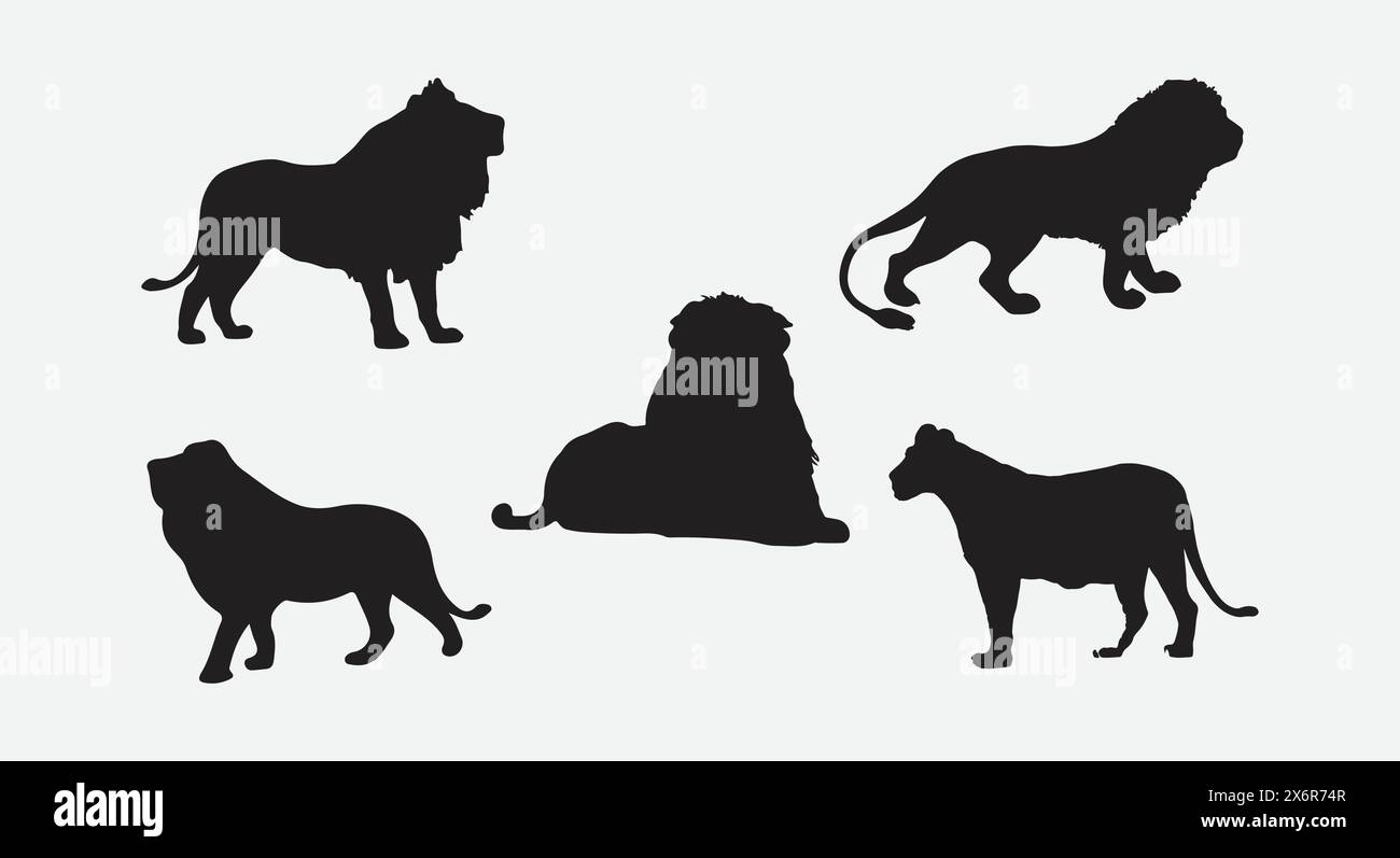 Majestic Lion Silhouettes Collection, Ein faszinierendes Set für künstlerische Inspiration Stock Vektor