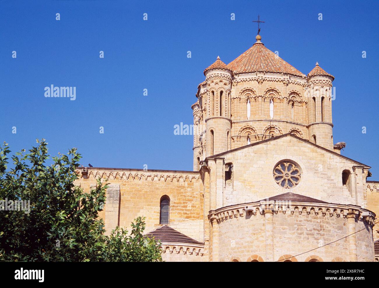 Kuppel der Stiftskirche. Toro, Provinz Zamora, Kastilien-Leon, Spanien. Stockfoto