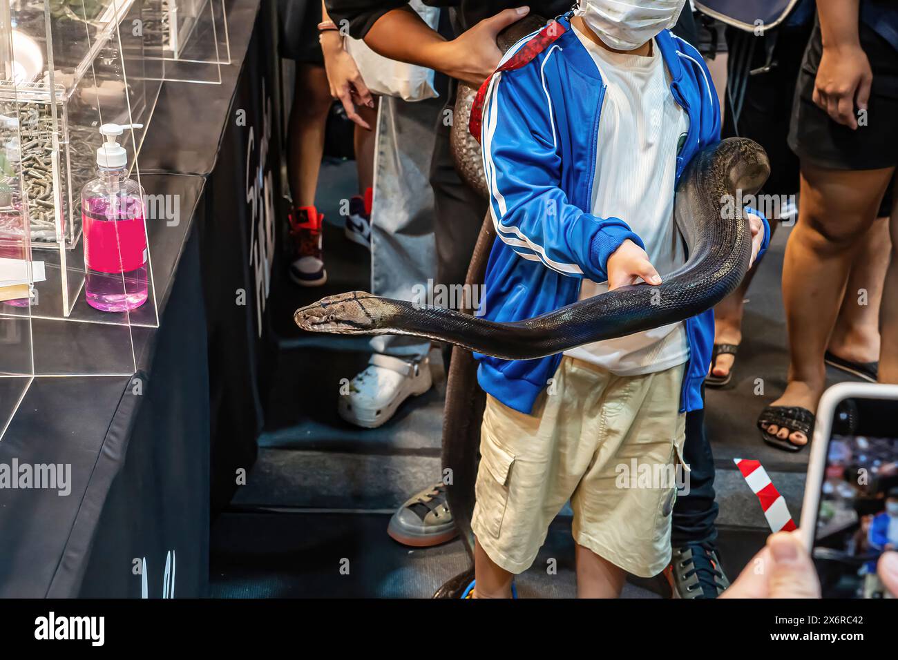 Schlange an der Hand des Jungen. Es ist ein beliebtes Haustier in Thailand. Stockfoto