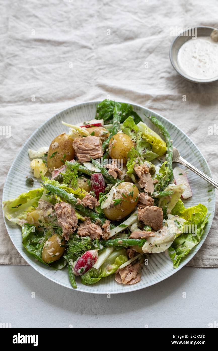 Thunfischsalat mit Babykartoffeln, Salat, grünen Bohnen und Radieschen Stockfoto