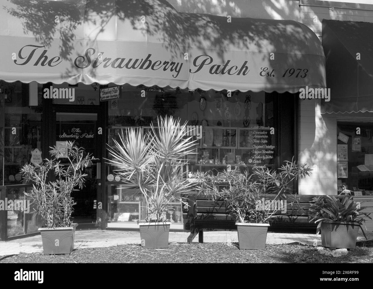 Der Souvenirladen Strawberry Patch in Cocoa Village, Florida, USA. Stockfoto