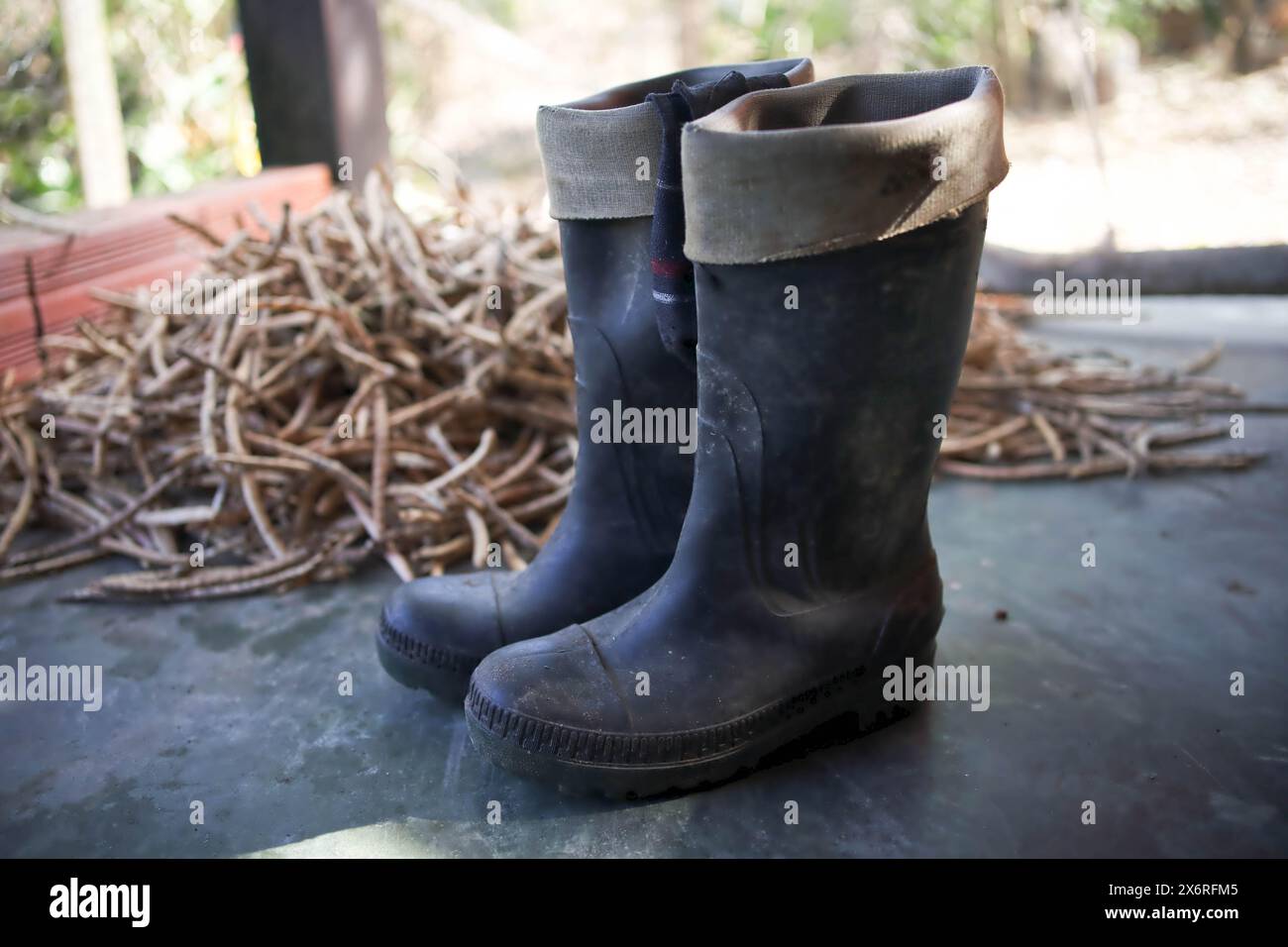 Gummistiefel für den Bauernhof. Schuhschuhe zum Schutz der Füße. Stockfoto