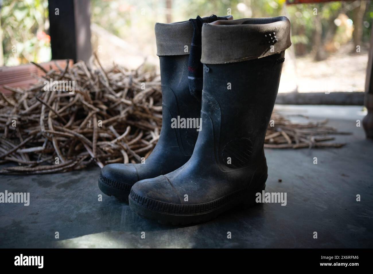 Gummistiefel für den Bauernhof. Schuhschuhe zum Schutz der Füße. Stockfoto