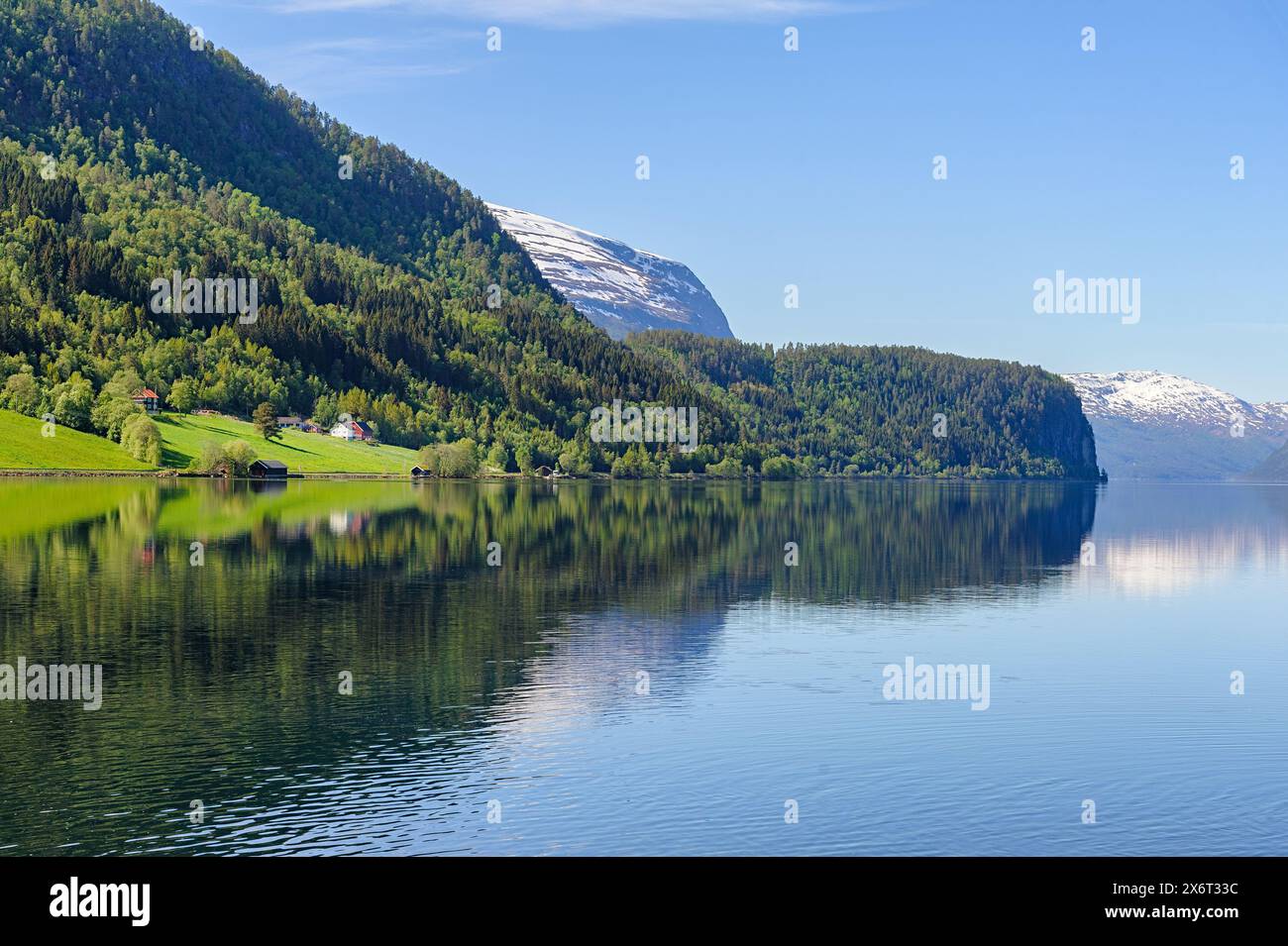 Ein ruhiger norwegischer See spiegelt die üppigen grünen Wälder und entfernten schneebedeckten Gipfel unter einem klaren blauen Himmel wider und schafft eine atemberaubende und friedliche Szene. Stockfoto