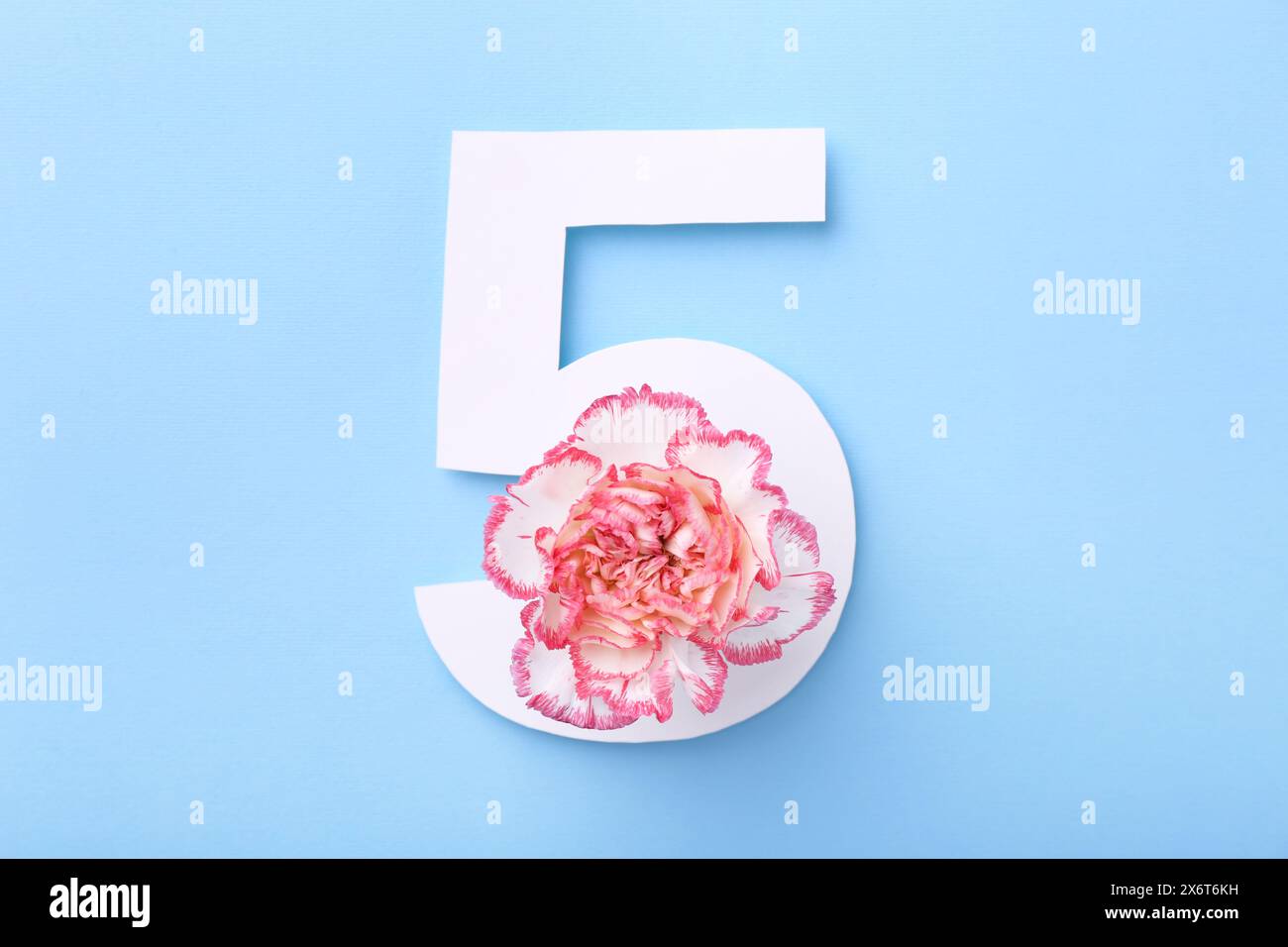 Papier Nummer 5 und schöne Blume auf hellblauem Hintergrund, Draufsicht Stockfoto