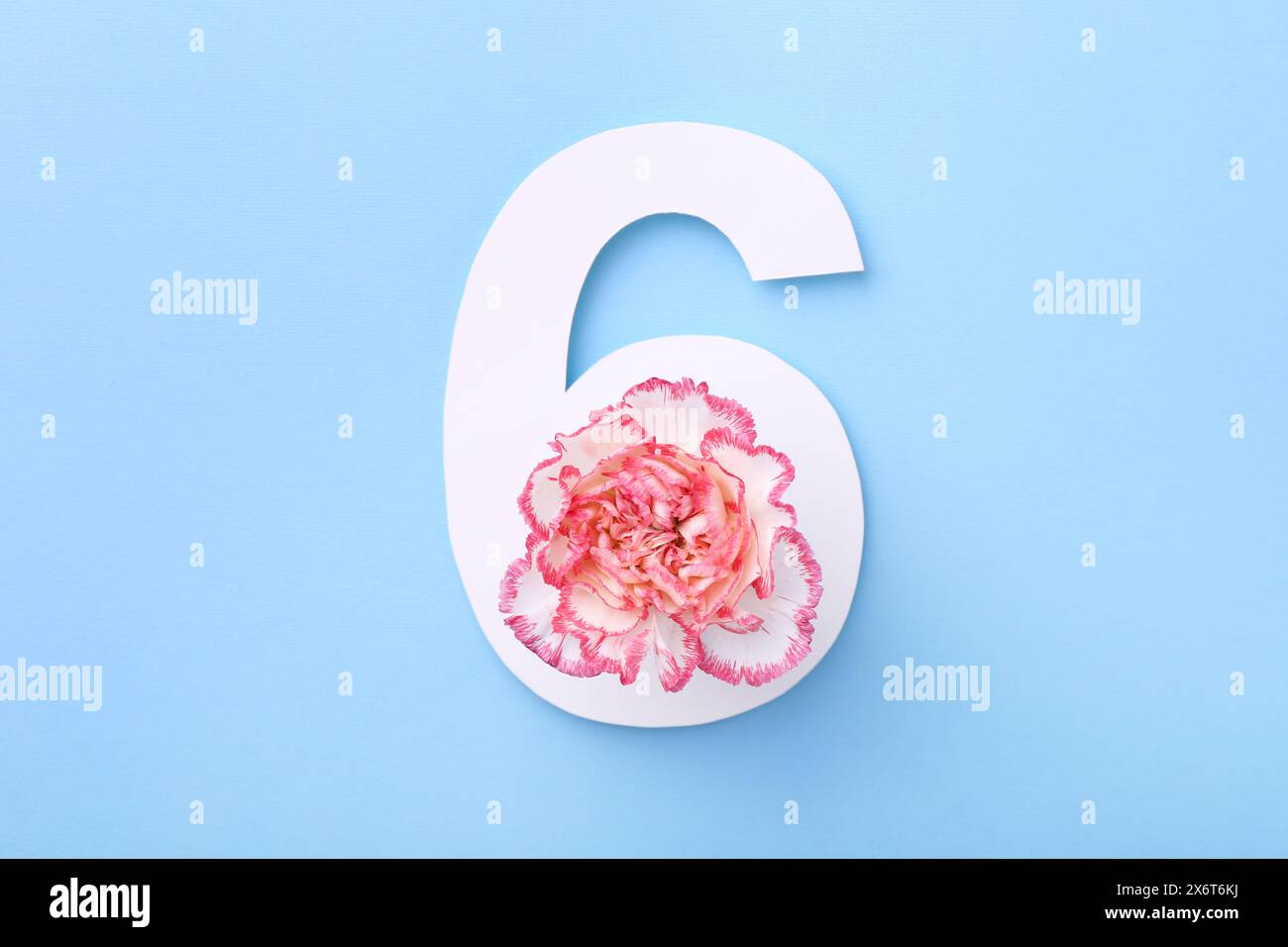 Papier Nummer 6 und schöne Blume auf hellblauem Hintergrund, Draufsicht Stockfoto