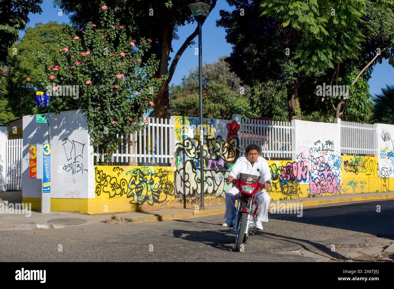 Oaxaca; Mexiko; Nordamerika; Straßenszene, Graffiti, Volkskunst Stockfoto