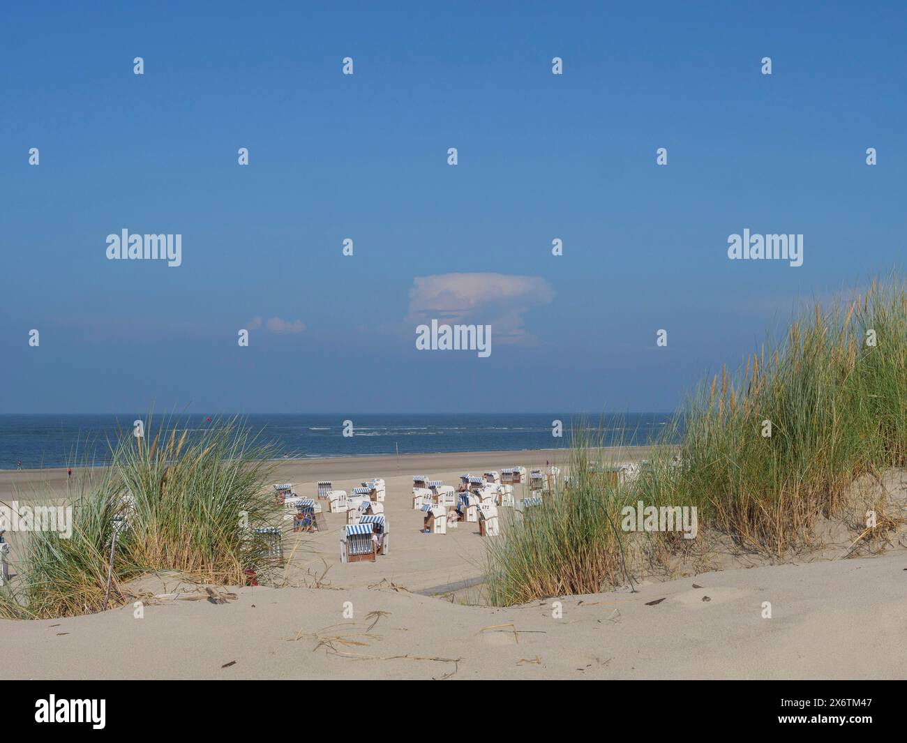 Blick auf einen ruhigen Strand mit Dünen im Vordergrund und mehreren leeren Liegen unter klarem blauem Himmel, Liegen und Dünen am Meer mit blauem Himmel Stockfoto