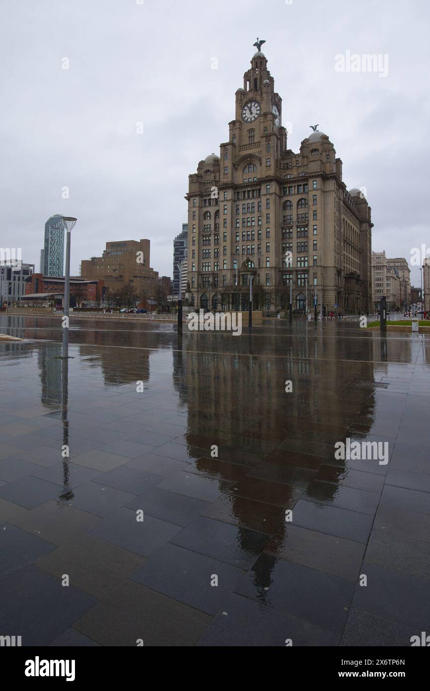 England, Liverpool – 30. Dezember 2023: Das Royal Liver Building spiegelte sich im Nass. Stockfoto