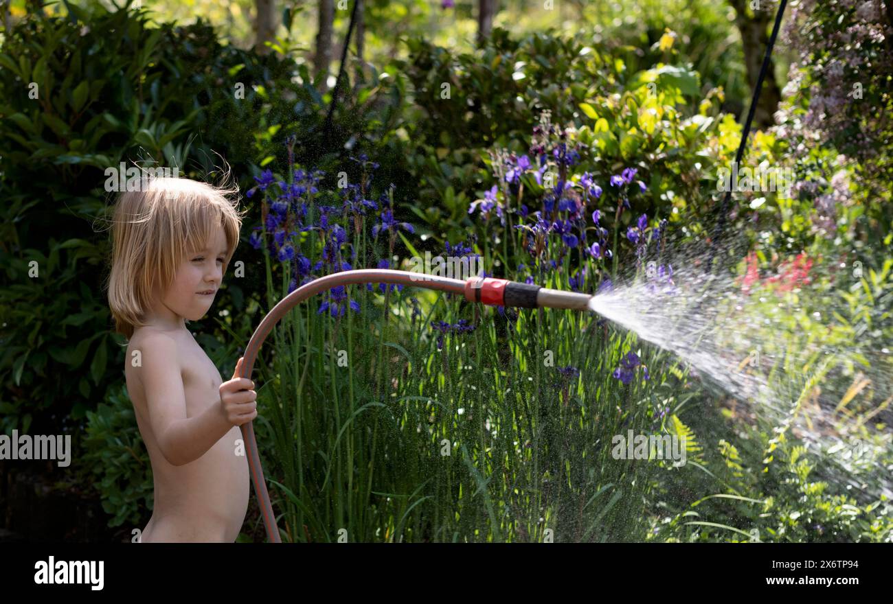 Junge, 5 Jahre, blond, Blumen gießen, mit Gartenschlauch sprühen, Garten, Sommer, Stuttgart, Baden-Württemberg, Deutschland Stockfoto
