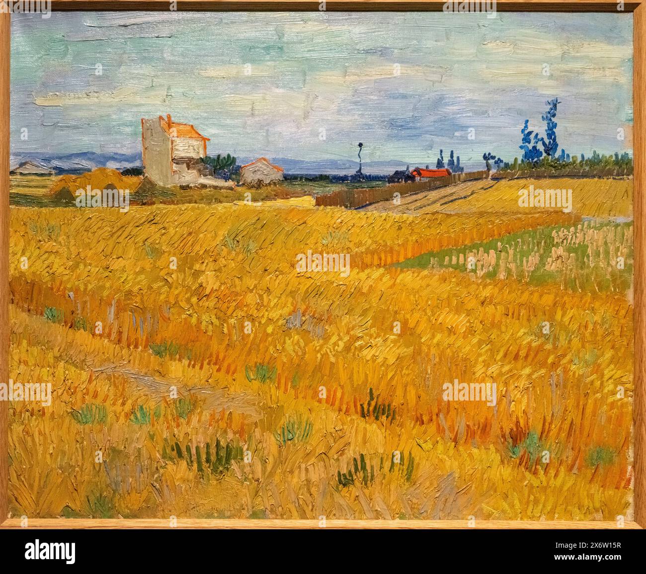 Wheattfield, Vincent Van Gogh, 1888, Öl auf Leinwand, Amsterdam, Niederlande. Stockfoto