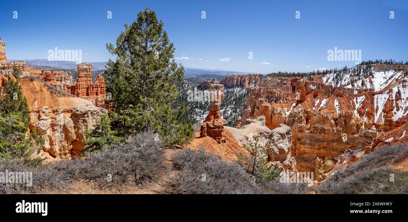 Schneebedeckte Turmspitze wie Hoodoos – markante geologische Formation im Bryce Canyon National Park, Utah, USA, am 24. April 2024 Stockfoto