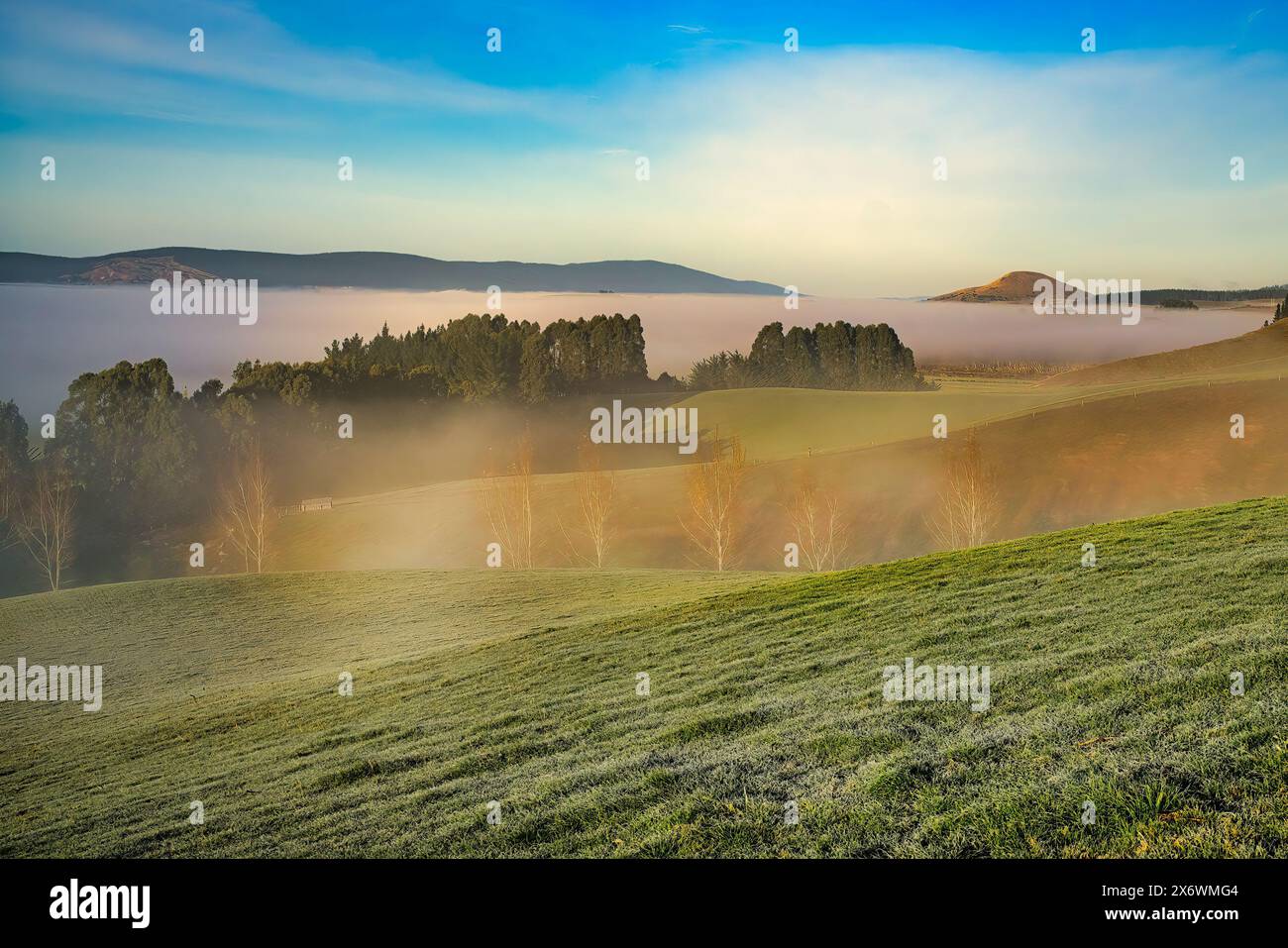 Dicker Nebel im Tal, Nebel der Hügel und Frost auf den Feldern. Hoch oben in den ländlichen Hügeln von Berwick (südwestlich von Dunedin) bei Sonnenaufgang Stockfoto