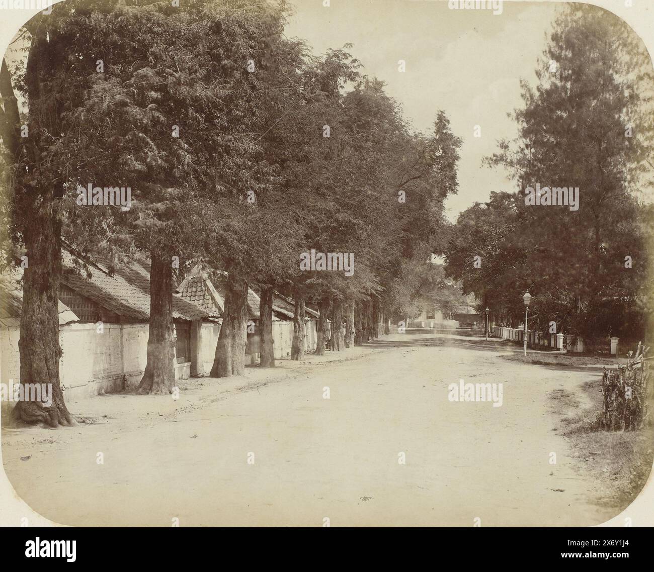 Eine Straße in Surabaya, Eine Straße in Surabaya mit einer Reihe von Bäumen auf der linken Seite mit Häusern hinter den Mauern. Zwei Laternenpfosten rechts von der Straße. Teil des Fotoalbums, das von der Soerabayasche Association of Suikerfabrikanten an Frederik Beyerinck, Einwohner von Soerabaya, präsentiert wurde., Foto, Herman Salzwedel, Soerabayasche Vereeniging van Suikerfabrikanten, Surabaya, 1876 - 1884, fotografische Unterstützung, Albumendruck, Höhe, 22,5 cm x Breite, 27,8 cm Stockfoto