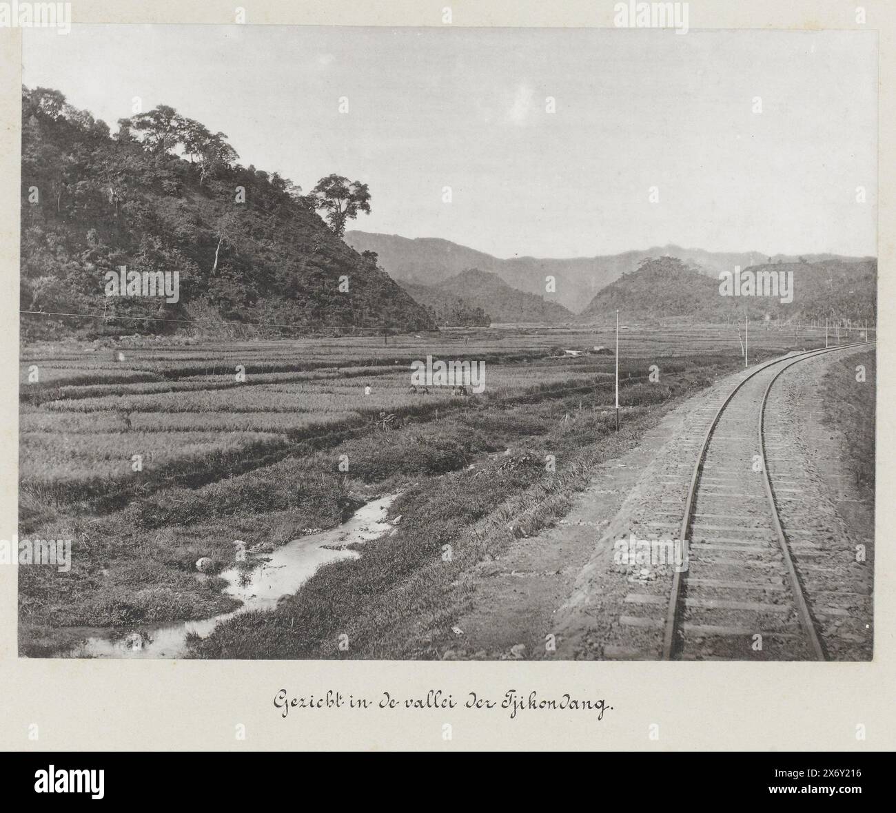Blick im Tal von Tjikondang (Titel auf Objekt), Staatsbahnen auf Java (Serientitel), Blick auf die Eisenbahn entlang der Felder im Tal von Tjikondang. Teil einer Gruppe von 62 Fotos in einer Box mit der Aufschrift 'State Railways on Java' von 1888., Foto, anonym, Java, 1880 - 1888, fotografischer Träger, Höhe ca. 180 mm x Breite ca. 240 mm, Höhe ca. 300 mm x Breite ca. 402 mm Stockfoto