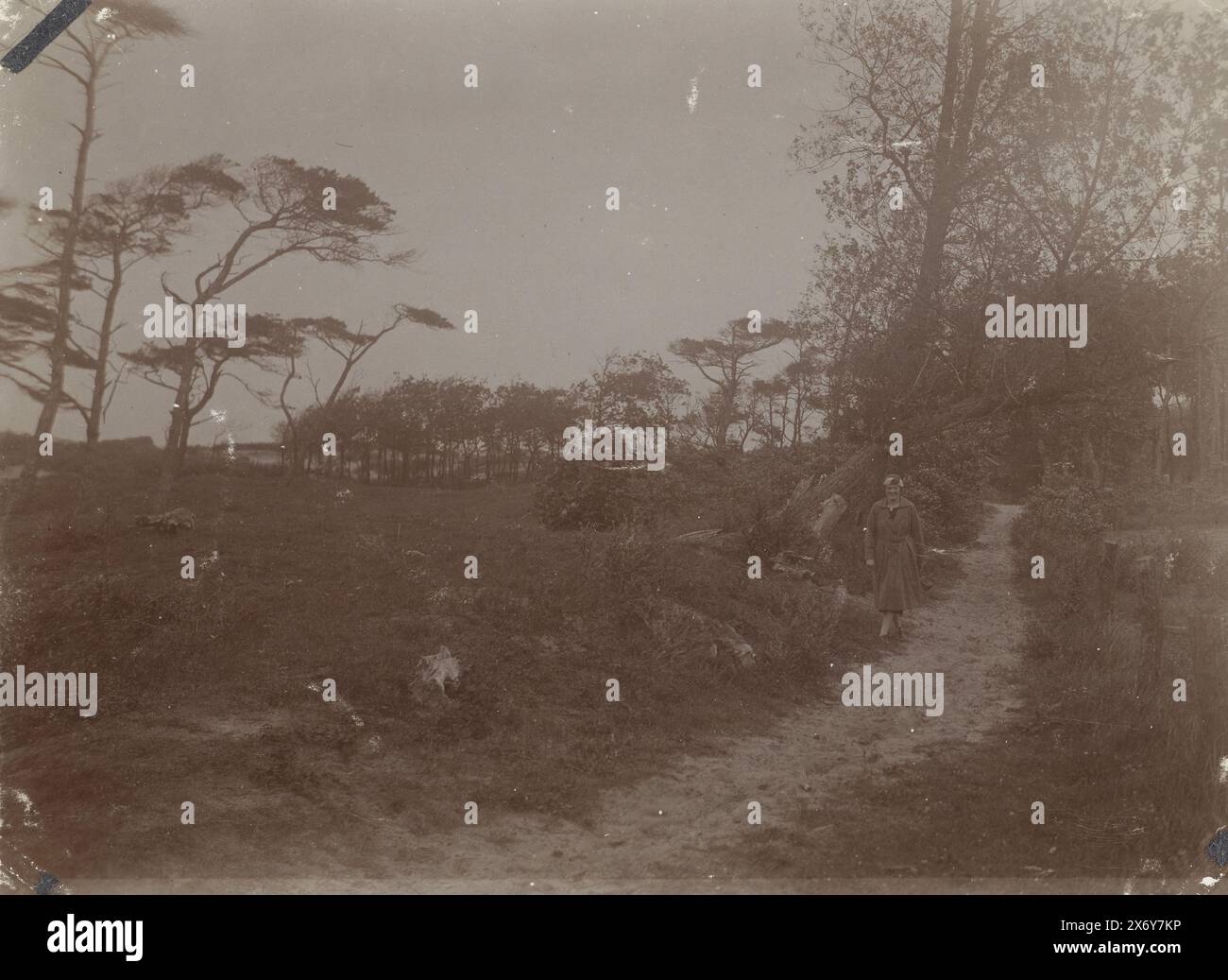 Blick in die Meijendel bei Wassenaar und den Haag, Foto, anonym, Niederlande, 23-Jun-1923, fotografischer Träger, Höhe, 80 mm x Breite, 110 mm Stockfoto