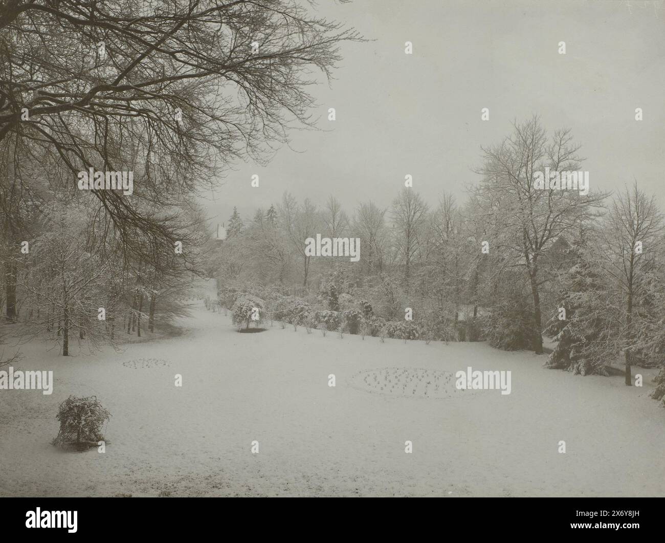 Der Park am Landhaus de Wildbaan, Driebergen, im Schnee, Foto, Henry Pauw van Wieldrecht, (möglicherweise), Henry Pauw van Wieldrecht, Niederlande, 1903 - 1907, Papier, Höhe, 335 mm x Breite, 520 mm, Höhe, 167 mm x Breite, 222 mm Stockfoto