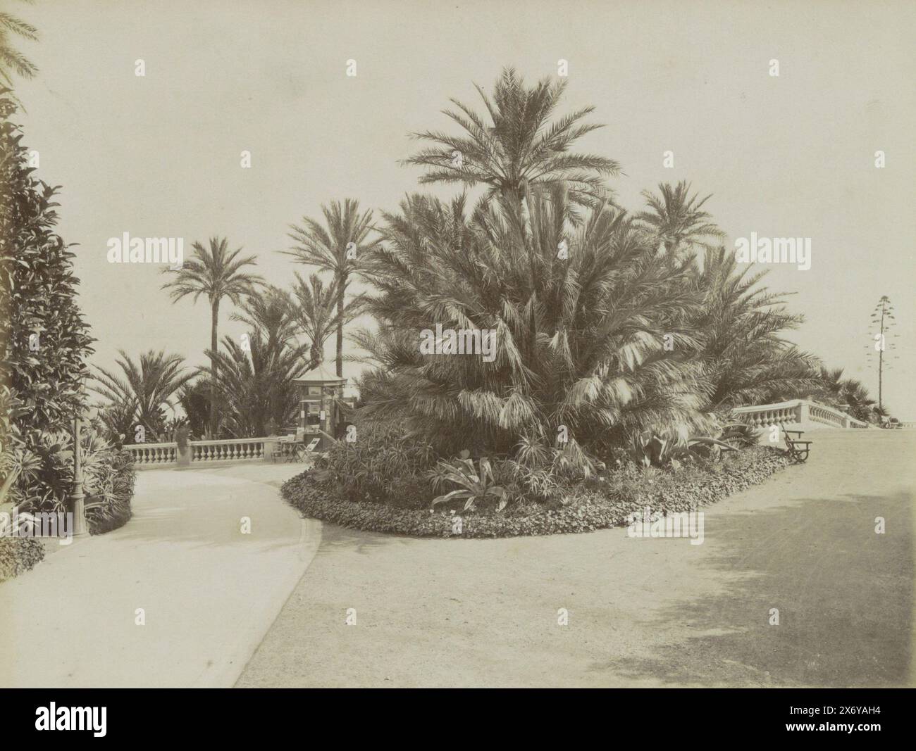 Gärten im Kasino Monte Carlo, Principauté de Monaco. Monte-Carlo, Les Jardins du Casino (Titel auf Objekt), Teil des Reisealbums mit Fotos von Sehenswürdigkeiten in Italien und Frankreich., Foto, Etienne Neurdein, Monaco, ca. 1870 - ca. 1900, Papier, Albumendruck, Höhe, 206 mm x Breite, 273 mm Stockfoto