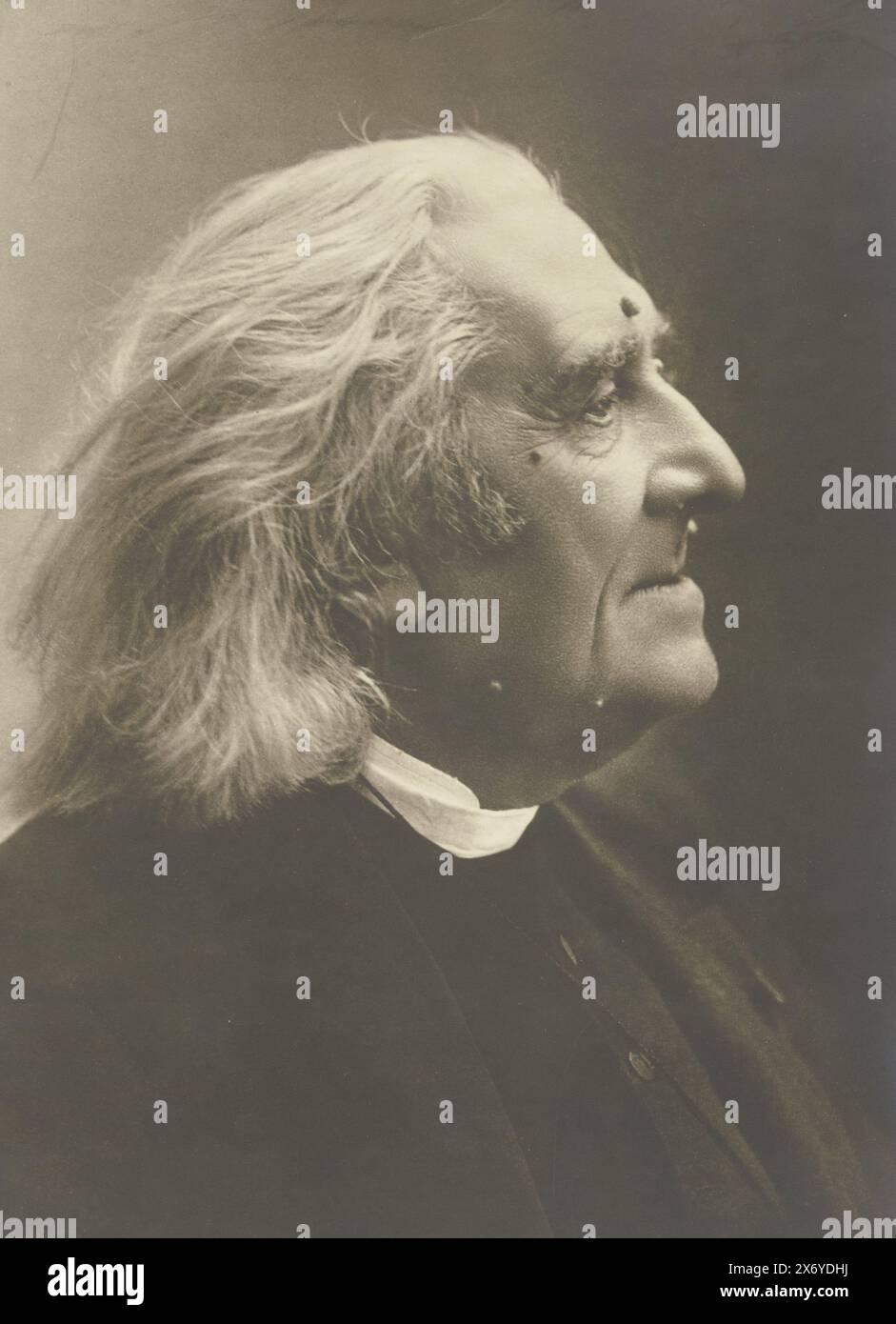 Porträt von Franz Liszt, F. Liszt (Titel auf Objekt), Foto, Rijshouwers Establishment (erwähnt auf Objekt), den Haag, c. 1880 - c. 1900, Papier, Höhe, 302 mm x Breite, 202 mm Stockfoto