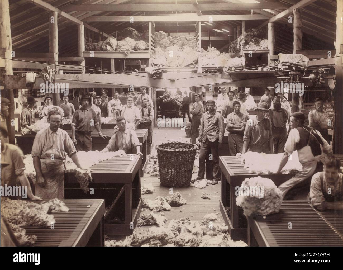 Arbeiter sortieren und verarbeiten Wolle in einer Fabrik in Burrawang, Woolsortierung und Unterricht in den Scherenschuppen Burrawong N.S. Wales (Titel auf Objekt), Foto, Charles Henry Kerry (erwähnt auf Objekt), Burrawang, 1890 - 1900, Papier, Albumendruck, Höhe, 268 mm x Breite, 348 mm Stockfoto