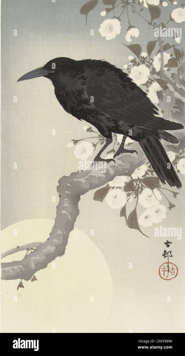 Krähe bei Vollmond, Krähe auf Zweig mit Kirschblüten, links, bei Vollmond., Druck, Druckerei: Ohara Koson, (auf dem Objekt erwähnt), Verlag: Matsuki Heikichi, Druckerei: Japan, Verlag: Tokio, 1900 - 1930, Papier, Farbholzschnitt, Polieren, Höhe, 363 mm x Breite, 192 mm Stockfoto