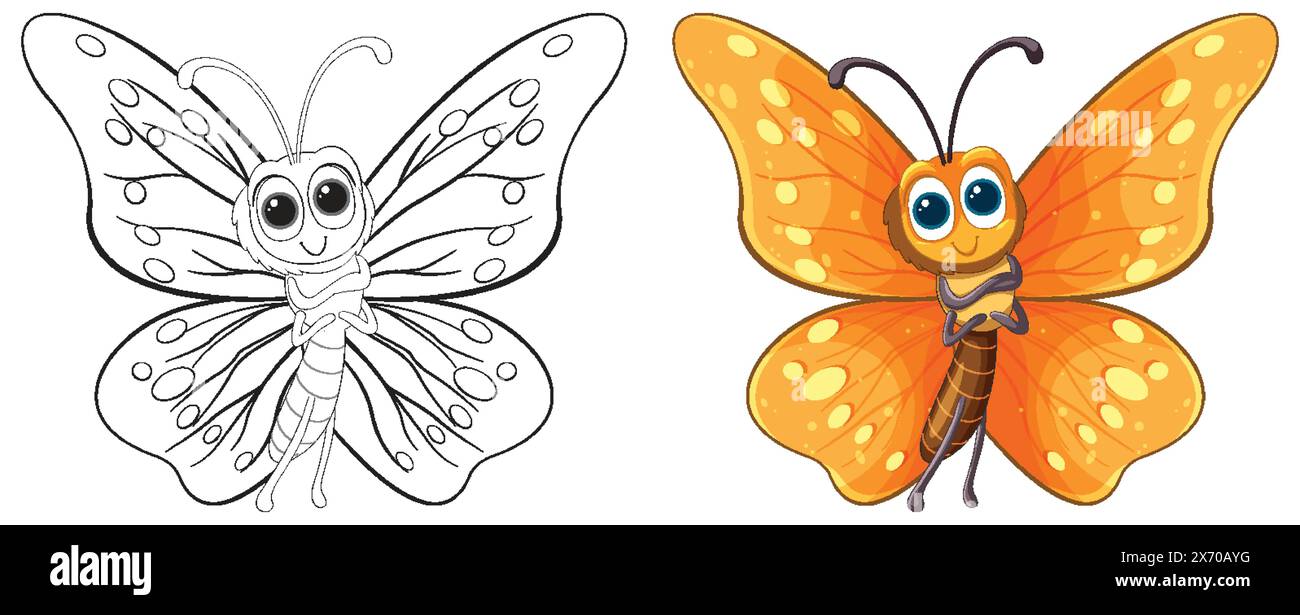 Zwei Stufen von Schmetterling, Linienart und Farbe Stock Vektor