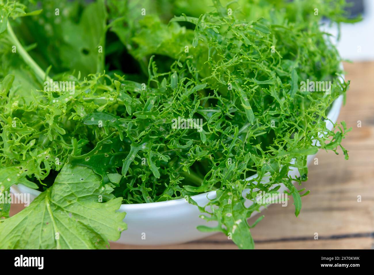 Grüne, frische Salatblätter in einer weißen Schüssel. Hochwertige Fotos Stockfoto