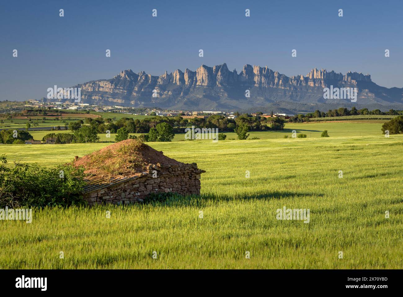 Der Montserrat-Berg hinter einem grünen Feld im Frühling und einer Trockenhütte in Pla de Bages (Barcelona, ​​Catalonia, Spanien) Stockfoto