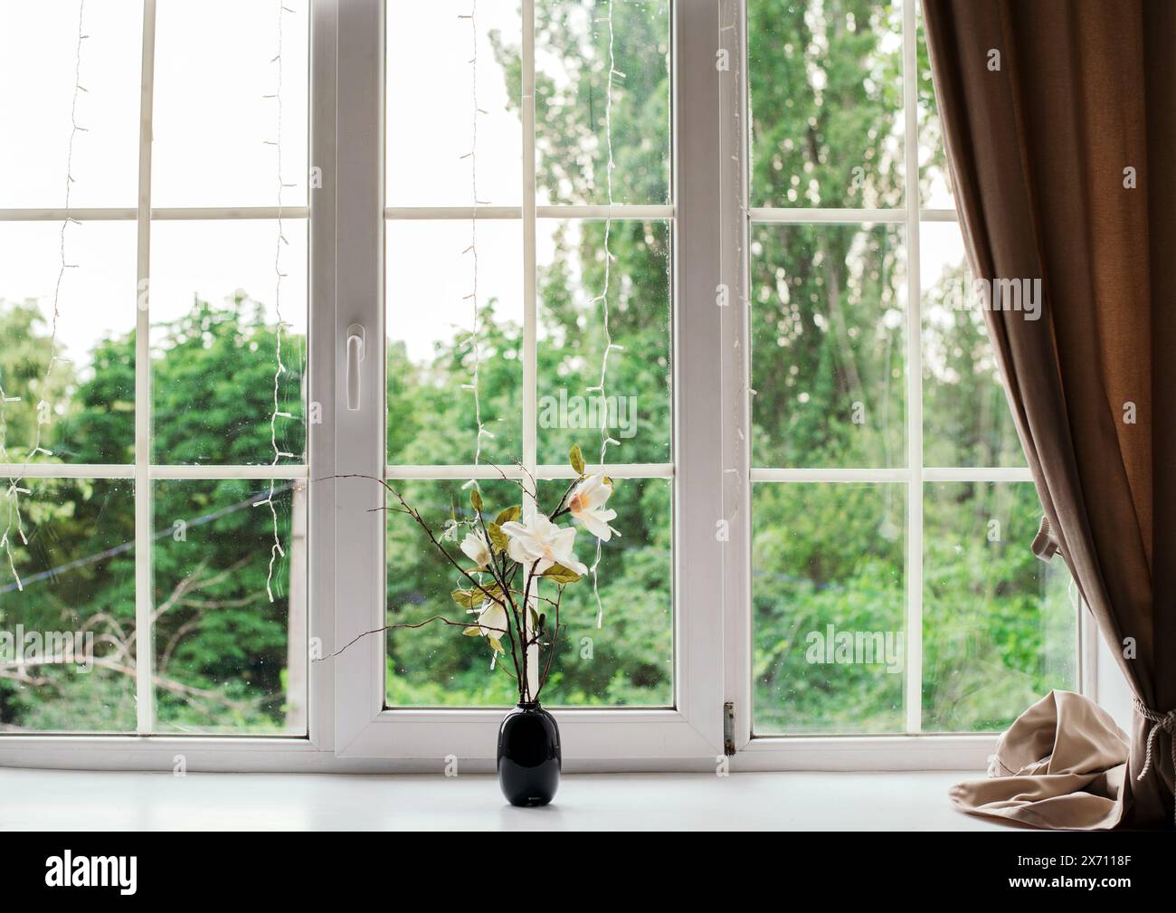 Eine Vase wunderschöner einsamer Blumen auf der Fensterbank im Raum, Platz für Text. Vorhänge und ein großes Fenster. Grüner Hintergrund. Stockfoto