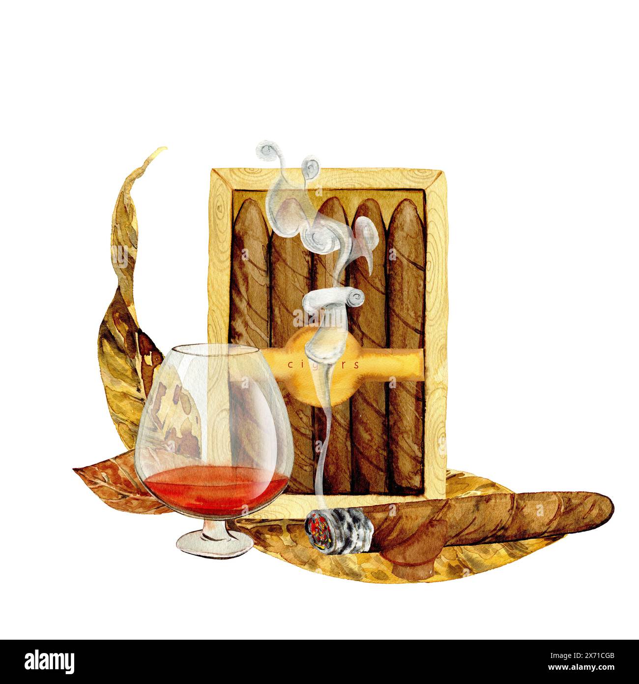 Zigarren und Cognac mit Tabakblättern in Aquarellen, Poster, Menüs, Clipart Stockfoto