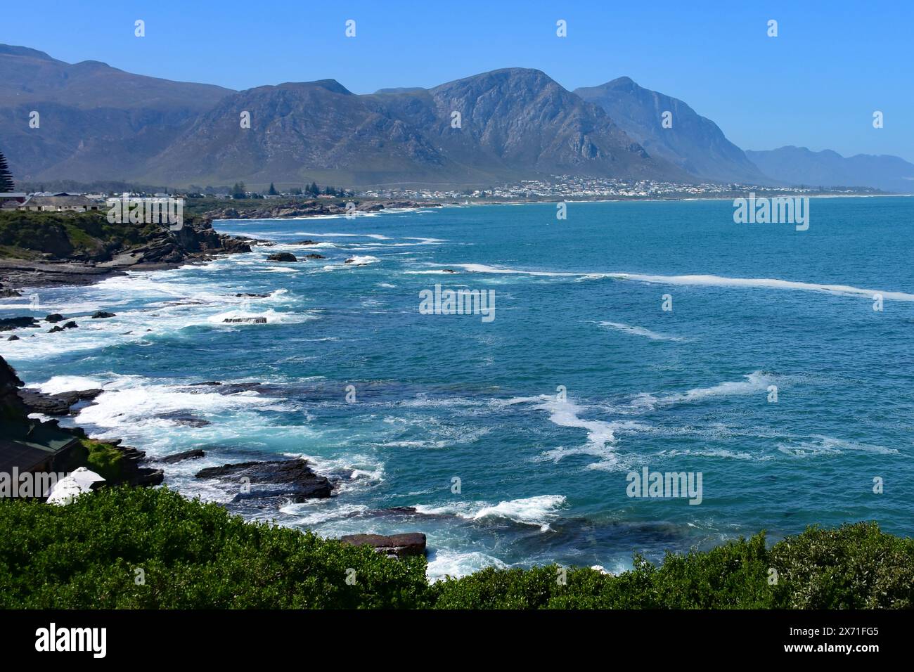 Walbeobachtung, Südliche Glattwale, Hermanus, Westkap, Südafrika Stockfoto