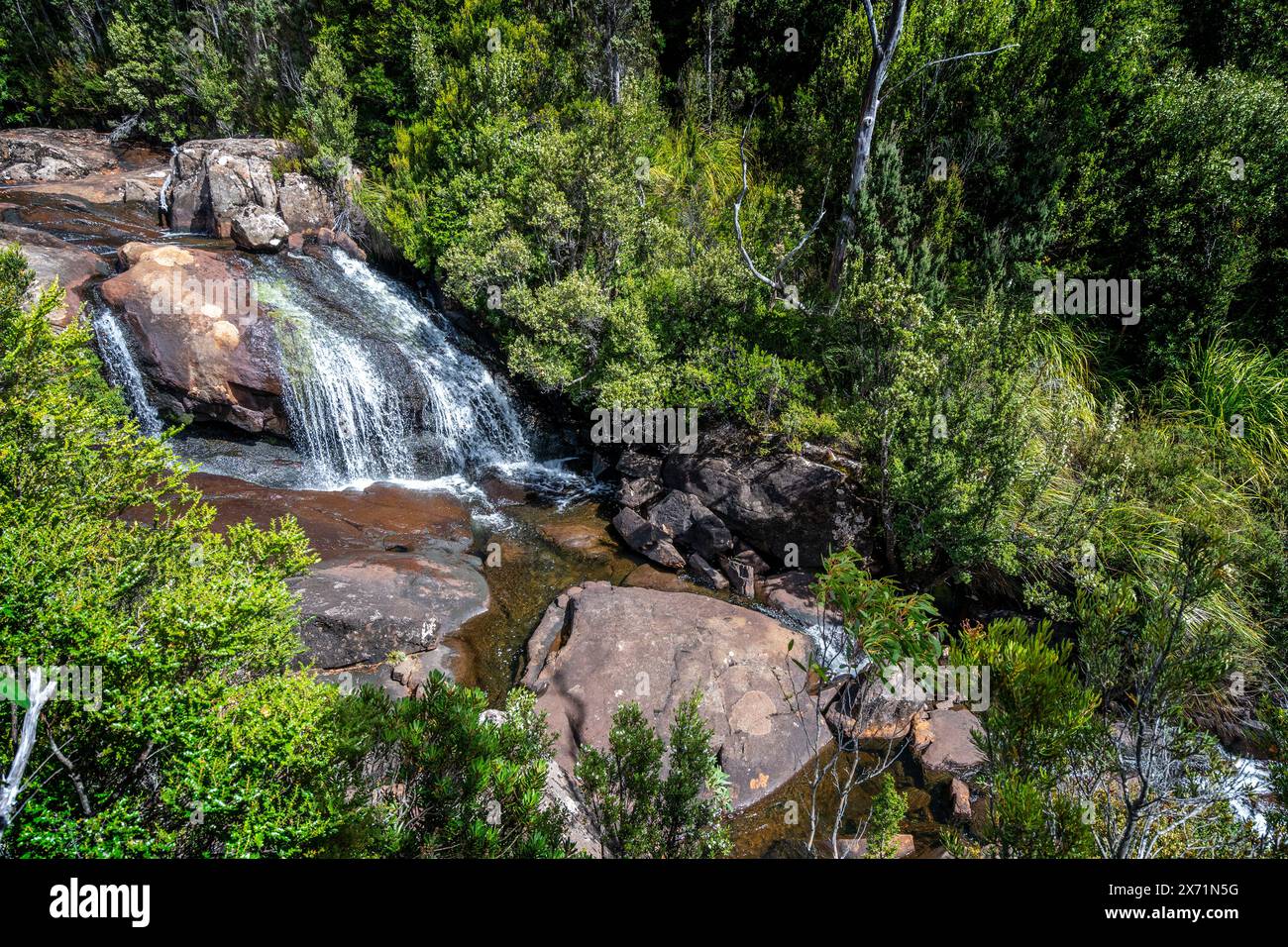 Avre Falls, Hartz Mountains Nationalpark, Tasmanien Stockfoto