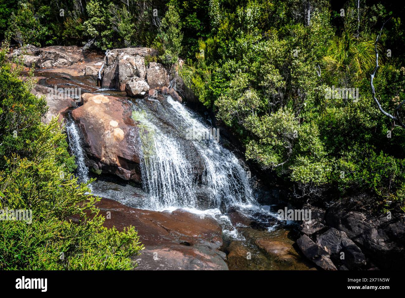 Avre Falls, Hartz Mountains Nationalpark, Tasmanien Stockfoto