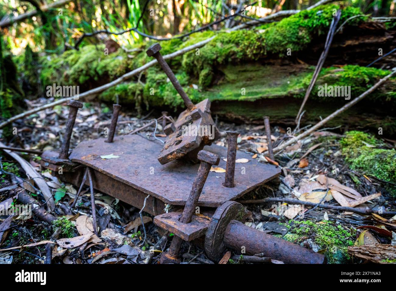 Verlassene rostfreie Bergbauausrüstung auf dem Wanderweg Mystery Creek im Süden Tasmaniens Stockfoto