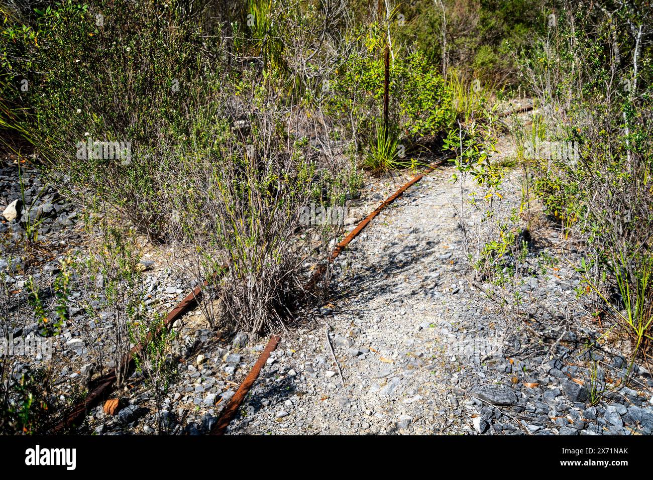 Verlassene Bahngleise auf dem Mystery Creek Walking Track in Südtasmanien Stockfoto