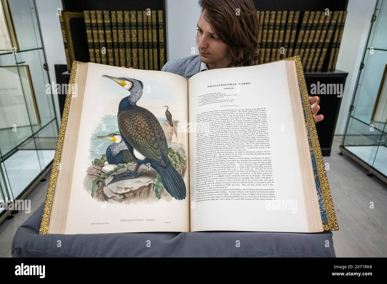 London, Großbritannien. 17. Mai 2024. Ein Mitarbeiter präsentiert eines der „Gould Folios, einheitlich in vollständiges marokkanisches Leder gebunden, das unter den schönsten Illustrationen von Vögeln aller Zeiten besteht“, das von Peter Harrington für 2.000.000 £ verkauft wird. Auf der ersten Londoner Messe 2024, der seltenen Buchmesse in der Saatchi Gallery. Bis zum 19. Mai präsentieren über 100 internationale Händler eine seltene Auswahl an Büchern, Manuskripten und Druckgrafiken unter dem Motto „The Art of the Book“. Quelle: Stephen Chung / Alamy Live News Stockfoto