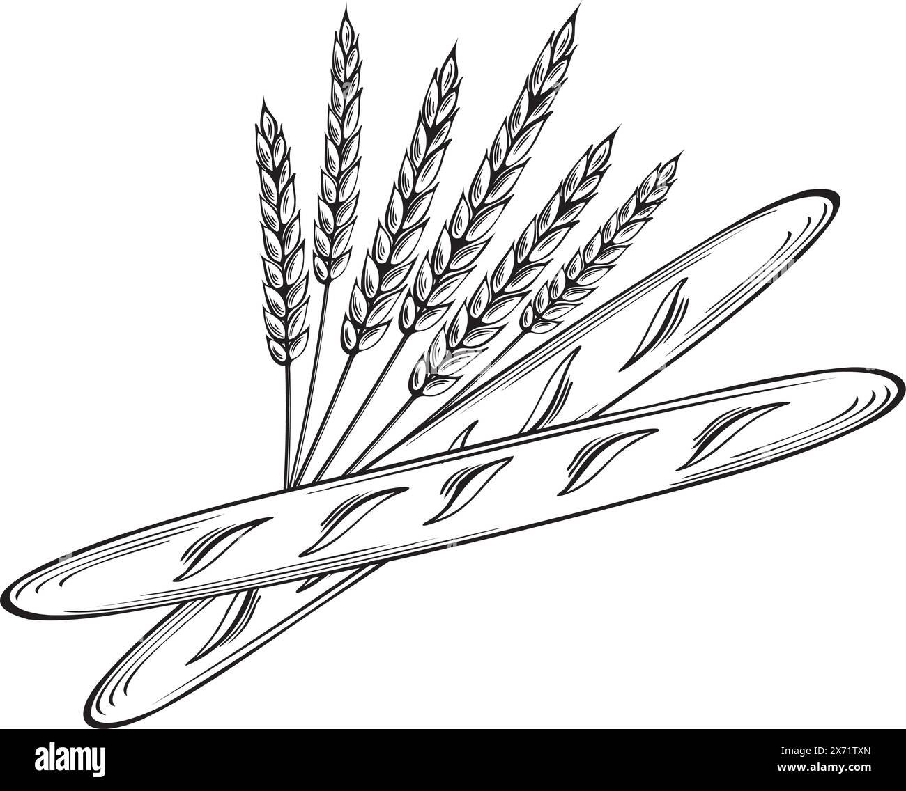 Baguettes und Weizenohren. Backwaren, französisches Weißbrot. Darstellung der Vektorabwicklung linear, isoliert. Seralien für die Mehlherstellung. Vorlage für Stock Vektor